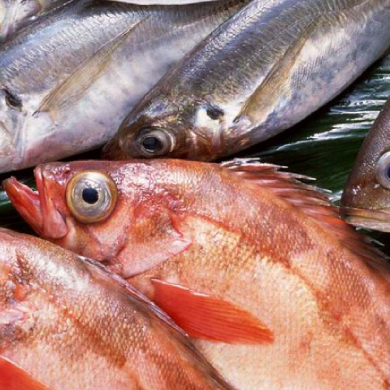 Mercado del Patio - Pescados